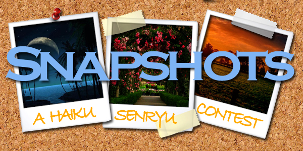 Snapshots